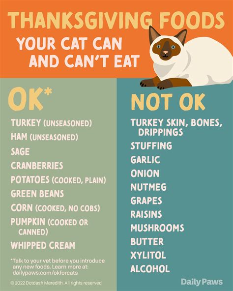 Thanksgiving Foods Your Cat Can and Can't Eat This Holiday