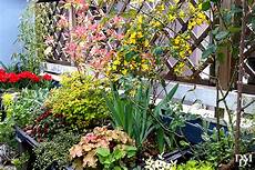 terrazzo fiorito un terrazzo fiorito low cost si pu 242 fare fiori e foglie terrazzo fiorito un terrazzo fiorito low cost si pu 242 fare fiori e foglie
