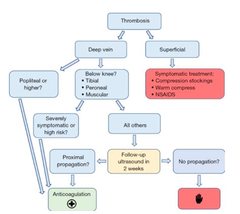 Image result for DVT Treatment Algorithm