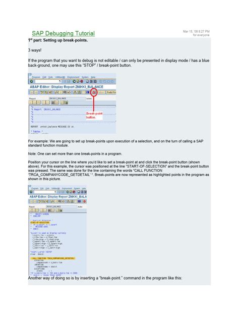 Image result for Basic Debugging SAP Program