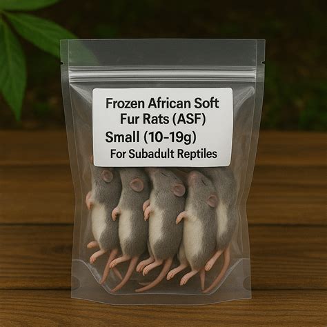Frozen African Soft Fur Rats (ASF) – Small (10–19g) | For Subadult Rep ...