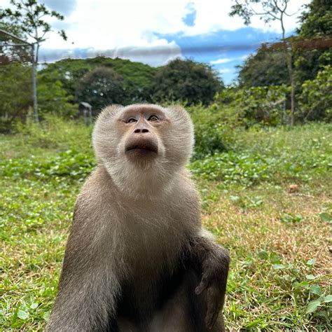 LAO CONSERVATION TRUST FOR WILDLIFE (Tha Xiangle): Ce qu'il faut savoir pour votre visite (avec ...