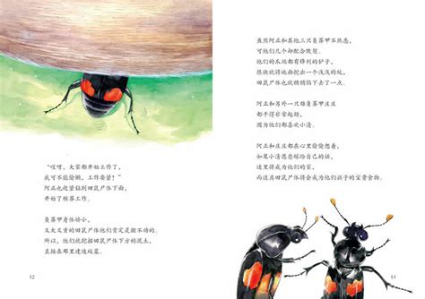 写给中国儿童的昆虫记——蝉|插画|绘本|米笑_MICHELLE - 原创作品 - 站酷 (ZCOOL)