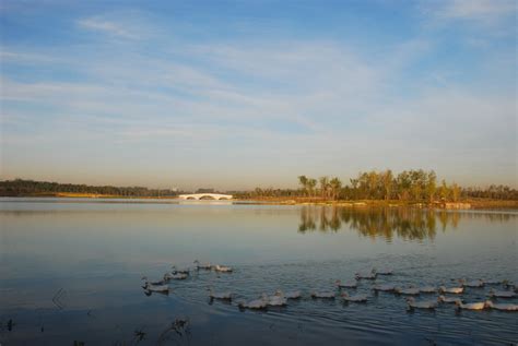 南海子，北京最大的湿地公园，无障碍做的怎么样？ - 知乎