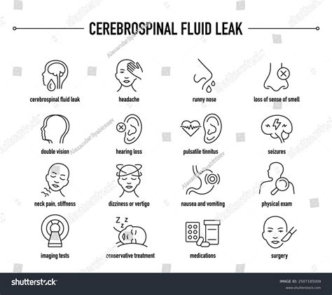 Cerebrospinal Fluid Leak Symptoms Diagnostic Treatment Stock Vector (Royalty Free) 2507185009 ...