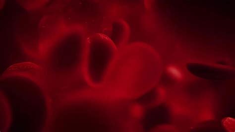 Image result for Blood Gang Handshake Tutorial