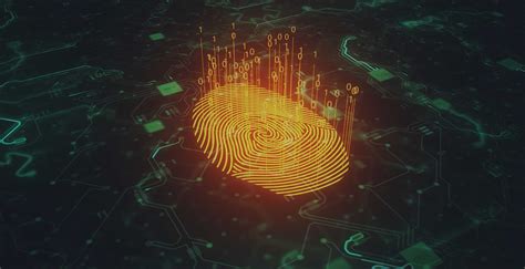 Automated Biometric Identification System 的图像结果