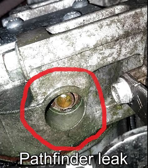 2017 The Unknown Leak | Nissan Pathfinder Forum