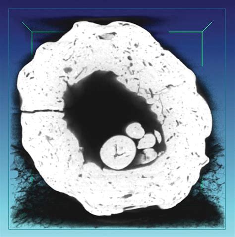 Image result for Code 12