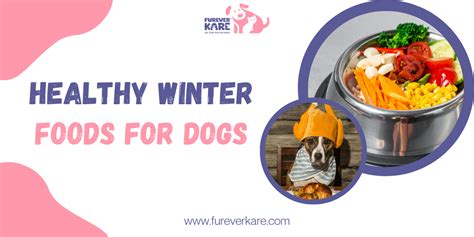 10 Healthy Winter Foods for Dogs | Keep Them Warm & Fit – Furever Kare