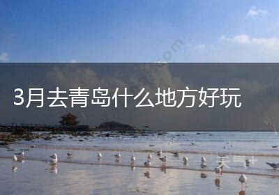 2021春节青岛哪些需要预约的景区-预约指南_旅泊网