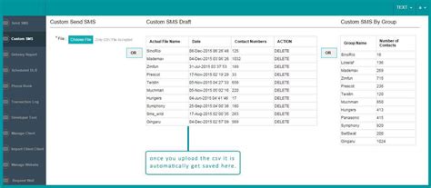 How to Send Custom SMS| TreeSMS