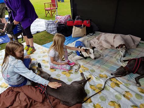 Richmond May Fair 2024, Richmond Green, Isleworth, 11 May 2024 | AllEvents