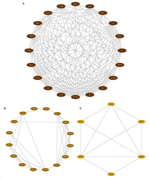 Image result for Protein Complex Function