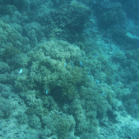 PITI BOMB HOLES PRESERVE - All You Need to Know BEFORE You Go 2026 ...