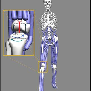 Image result for OpenSim Simulator