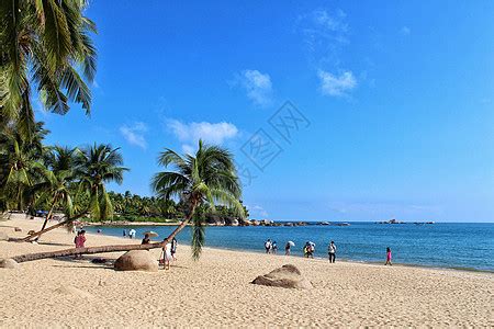 夏威夷海滩风景图片-美丽的夏威夷海滩风景素材-高清图片-摄影照片-寻图免费打包下载