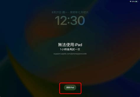 Recover iPad Passcode 的图像结果