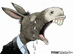 Image result for Democrat Donkey Crying