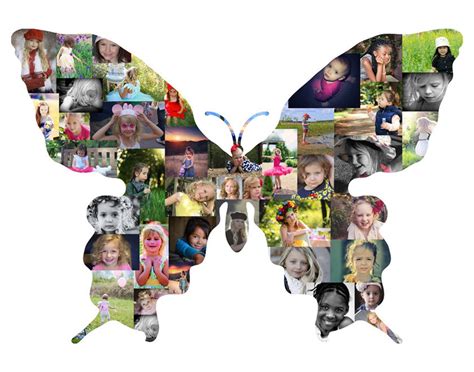 Image result for Butterfly Collage