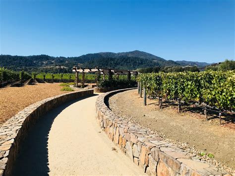 Best Sonoma Wineries to Visit in Spring - W Marketing