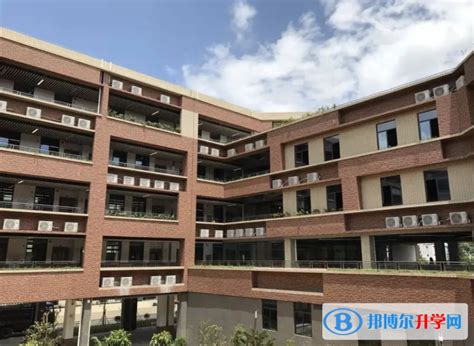 深圳蛇口国际学校2023年入学条件