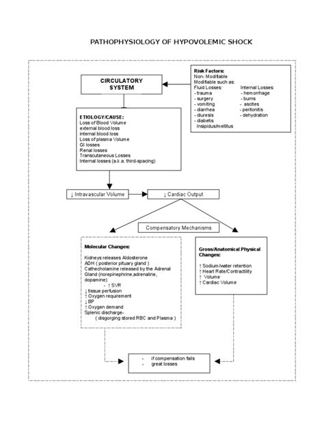 Shock Pathophysiology 的图像结果