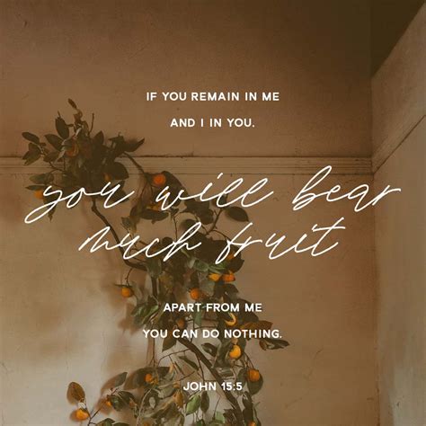 John 15:4-5 Abide in me, and I in you. As the branch cannot bear fruit ...