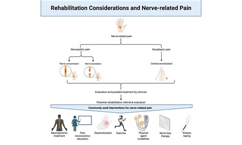 Topic: The Painful Nerve: What to Do?
