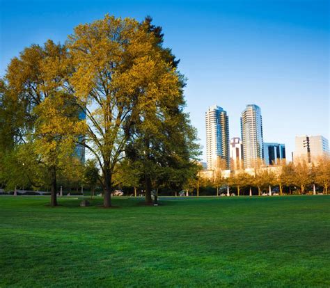 Sustiable Development Use of Technology 的图像结果