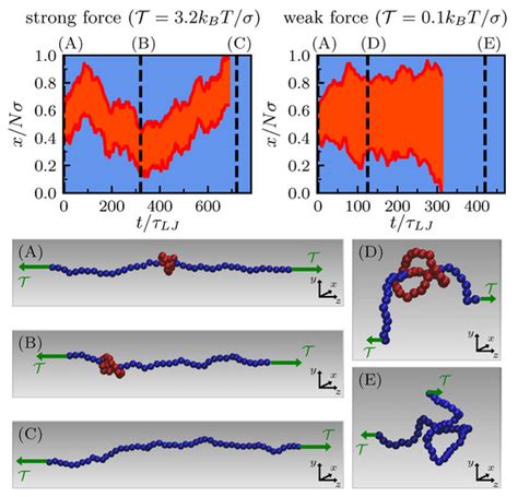 Topological Disentanglement of Linear Polymers under Tension