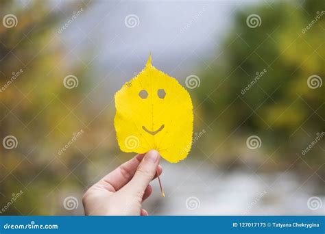 Autumn Leaf Emoji, Smiley in a Hand Stock Image - Image of orange ...