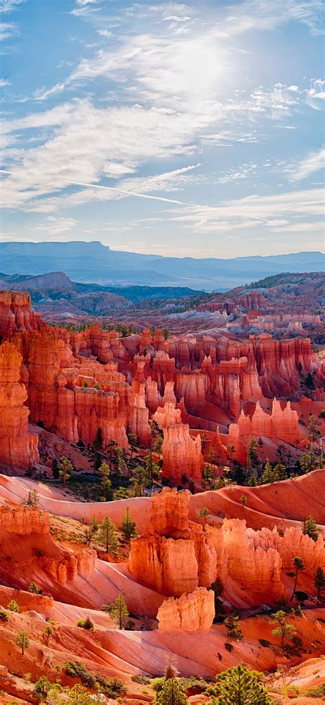 Download The Hoodoo Wonderland at Bryce Canyon National Park Wallpaper | Wallpapers.com