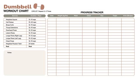 Body Muscle Exercise Chart 的图像结果