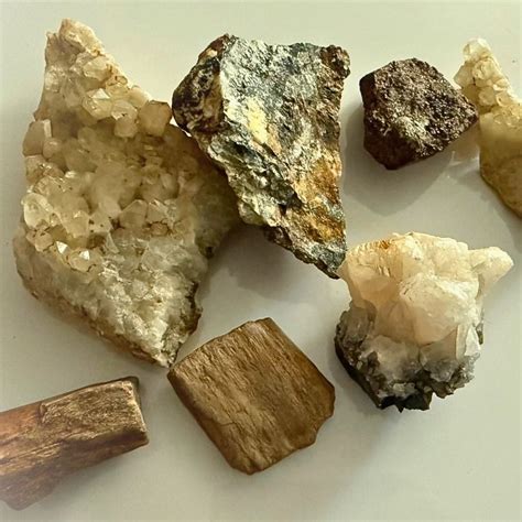 Get into Rockhounding!, 120 Hickory St, Suite A, Missoula, MT, United ...