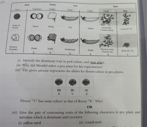 CH - Heridity class 10 - Brainly.in