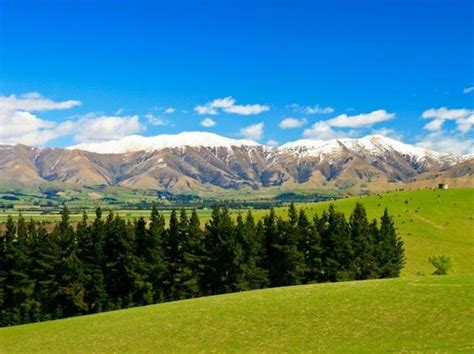 新西兰留学怎么申请？ - 知乎