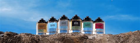 How to Choose Perfume for Your Personality: Tips for Men & Women