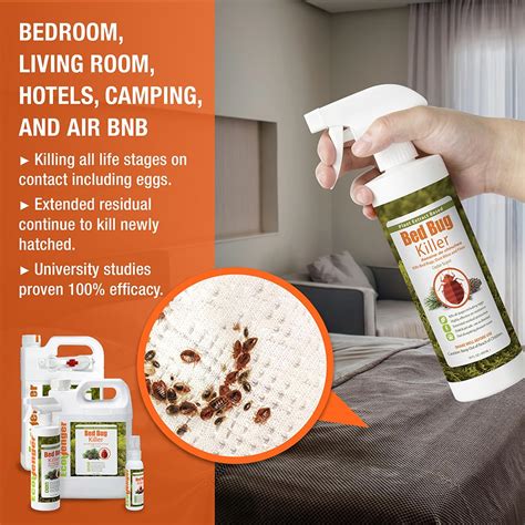The Best Spray For Bed Bugs - Top Reviews And Natural Remedies