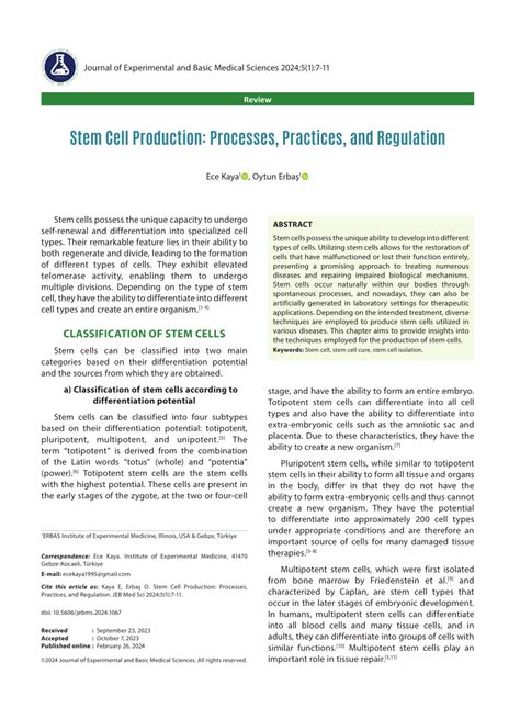 Stem Cell Process 的图像结果