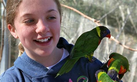 NORTH CAROLINA AQUARIUM AT FORT FISHER (2025) All You Need to Know ...