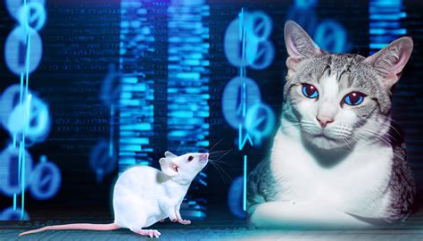 Defending your data: an endless game of cat and mouse - Bistech