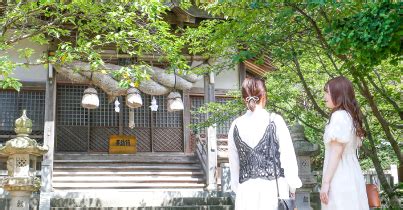 Image result for Ani Algorithm