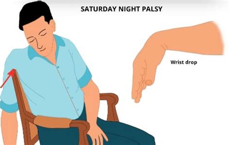 Image result for Examples of Commentary for Grad