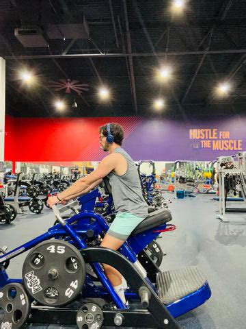 Image result for Back Muscle Machine