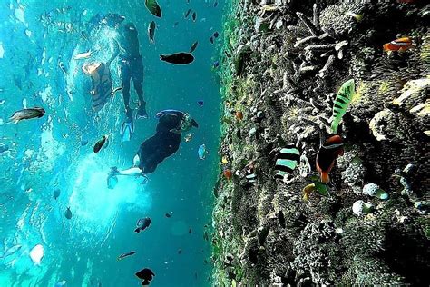 광명보라카이 (2025) All You Need to Know BEFORE You Go (with Photos ...