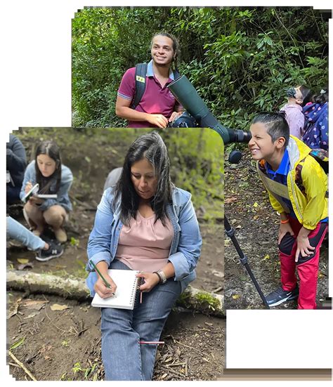 Group Learning Experience Ideas 的图像结果