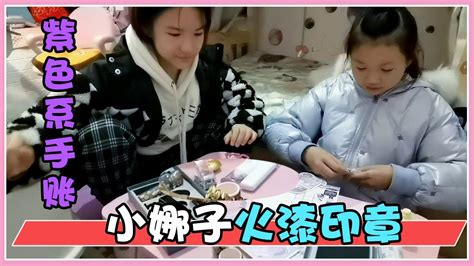 小梦琪：紫色系手帐安排了，小娜子竟然有火漆印章，还有随心配【小梦琪麻麻】