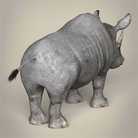 Rhinoceros - 3D Model by TreeWorld3d