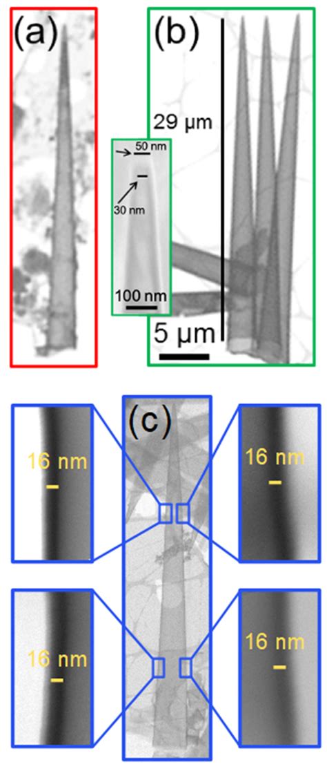 Image result for Stem Fields for TiO2